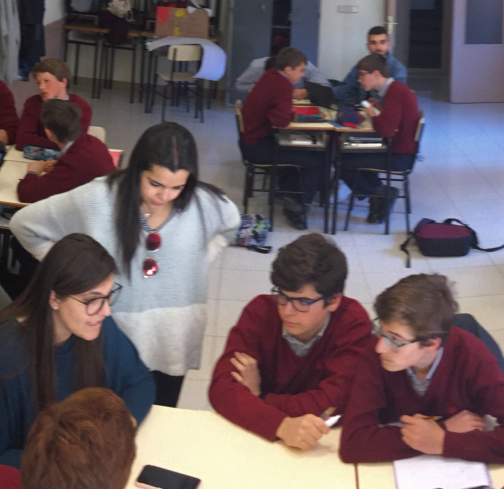 Erasmus Students in Schools experience with the Erasmus Network